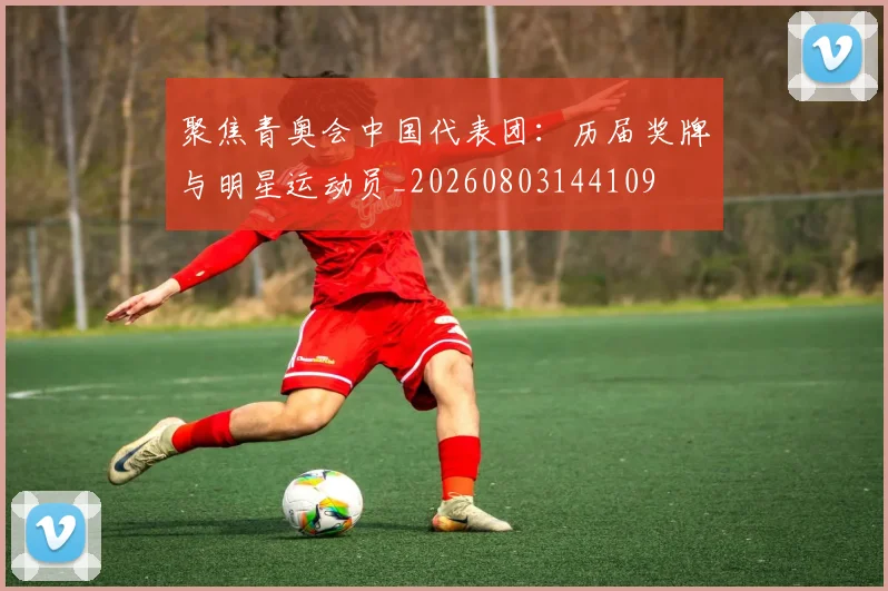 聚焦青奥会中国代表团：历届奖牌与明星运动员_20260803144109
